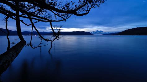 Navy Blue Nature Landscape