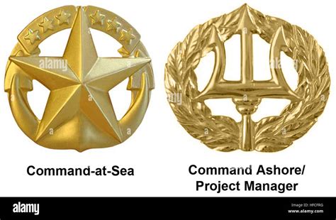 Navy Commander Insignia