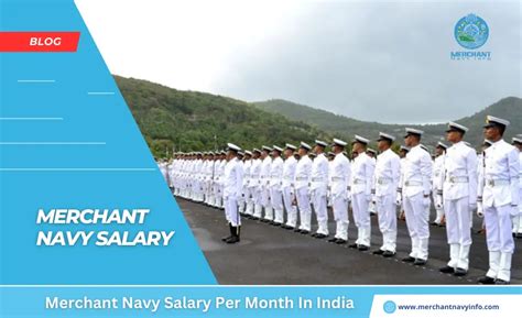 Navy Commander Salary Career Advancement