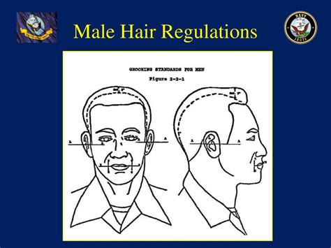 Navy Hair Rules Example 9