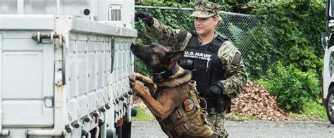 Navy Master At Arms Career Path