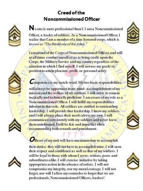 Navy Non-Commissioned Officer