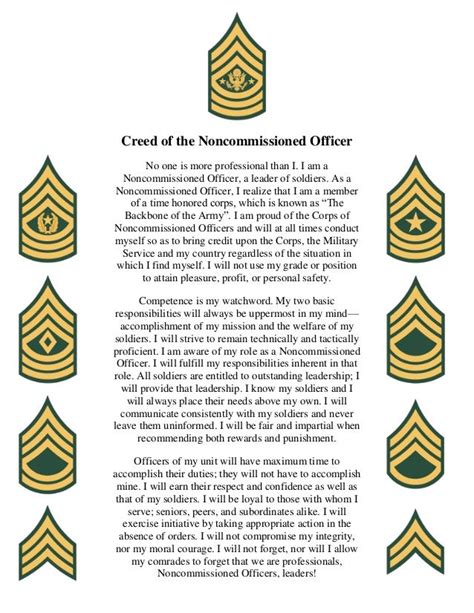 Navy Non-Commissioned Officer Leadership