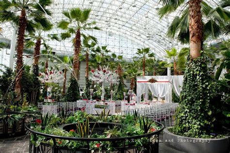 Navy Pier Garden