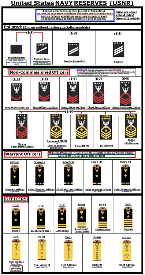 Navy Rank Structure Chart