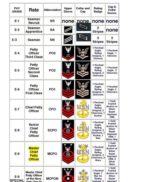 Navy Ranks and Roles