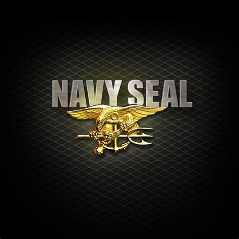 Navy Seal Insignia