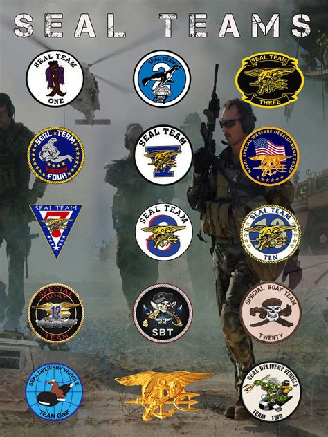 Navy Seal Teams