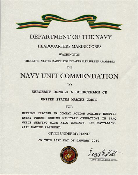 Navy Unit Commendation Award Image 1