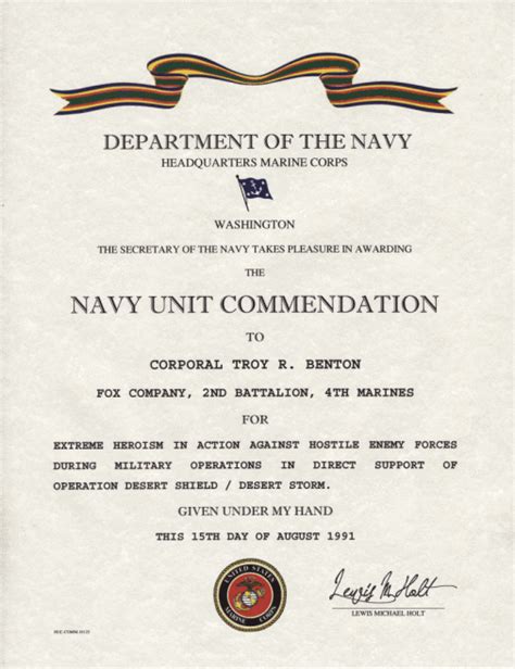 Navy Unit Commendation Award Image 7