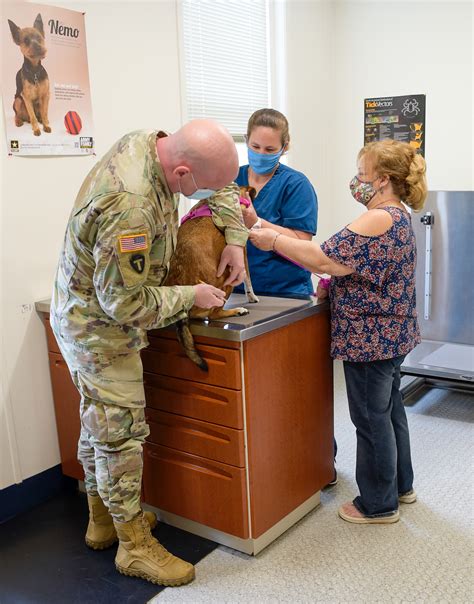 Navy Veterinarian