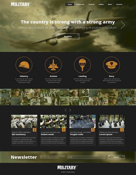 Description of Navy Web Design