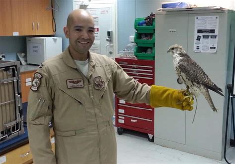 Navy Wildlife Biologist