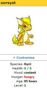 Neopets Tips and Tricks