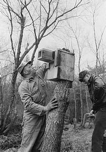 New Bedford Rod and Gun Club Conservation Efforts