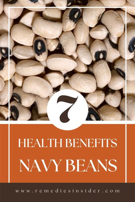 Nutritional Benefits of Navy Bean Substitutes