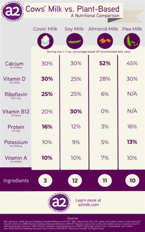 Nutritional Comparison of Navy and Great Northern Beans