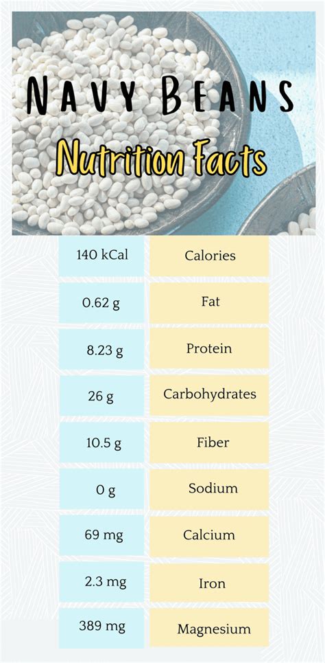 Nutritional Value of Navy Beans