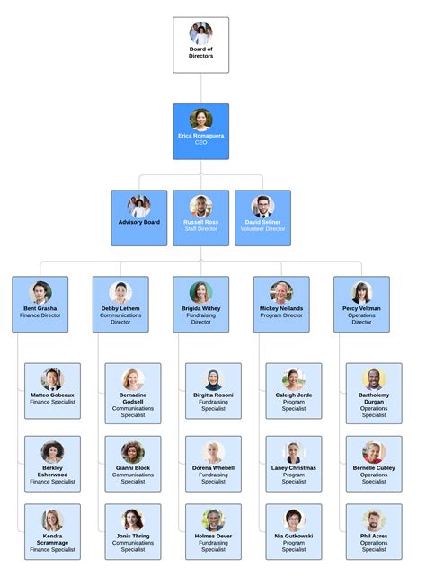 Organizational Structure and Roles