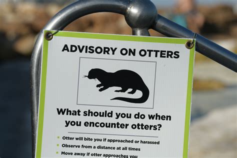 Otter Sign