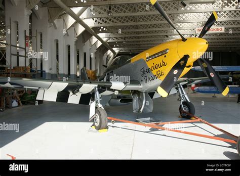 P-51 Mustang Squadron