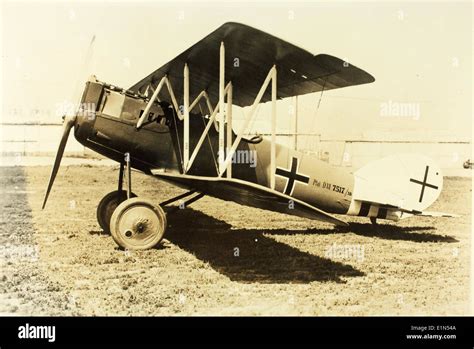 Pfalz D.XII in flight