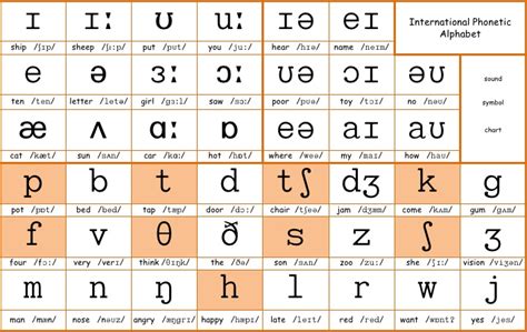 Phonetic Alphabet Practice