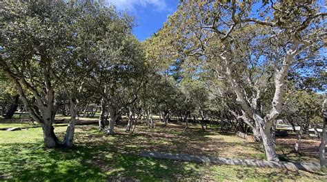 Presidio of Monterey Nature Preserve