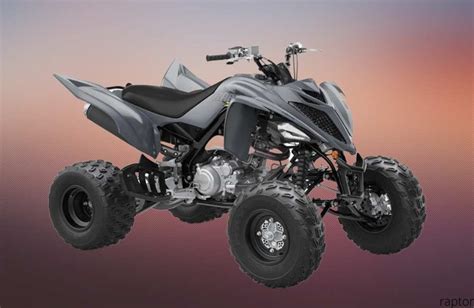 Raptor 700 Image 7