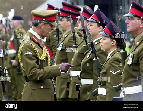 The Royal Welsh Regiment in ceremonial uniform