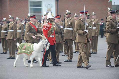 The Royal Welsh Regiment's history and legacy