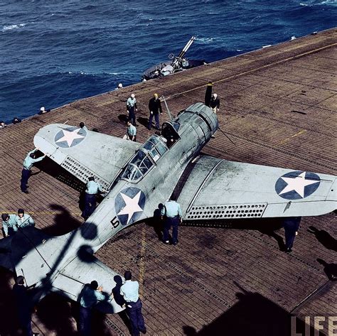 SBD Dauntless in flight