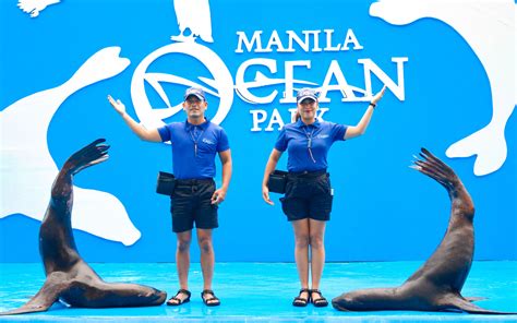 Sea Lion Show