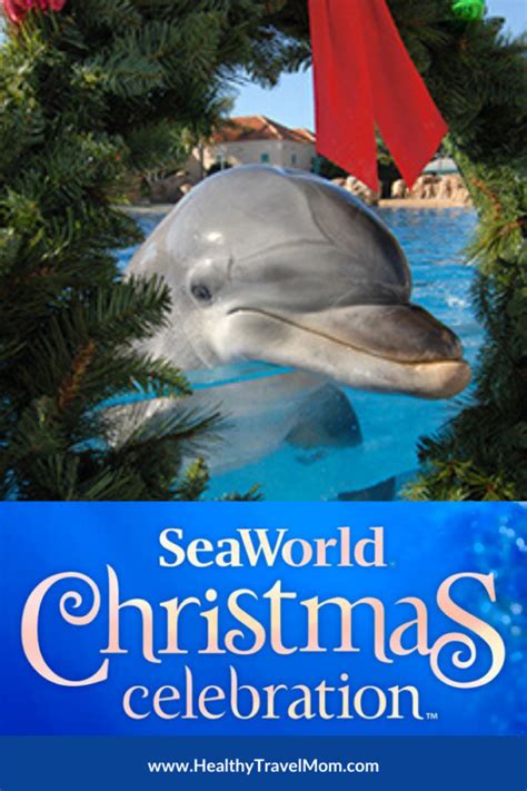 SeaWorld Christmas