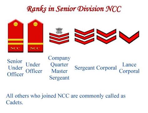 Senior Officer Rank Insignia