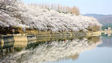 Seoul in April