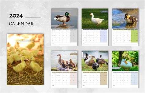 Seven Duck Calendar Ideas