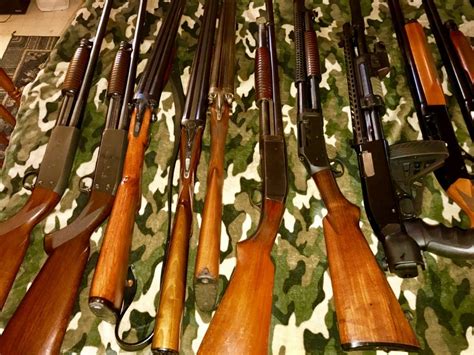 Collecting and preserving shotguns