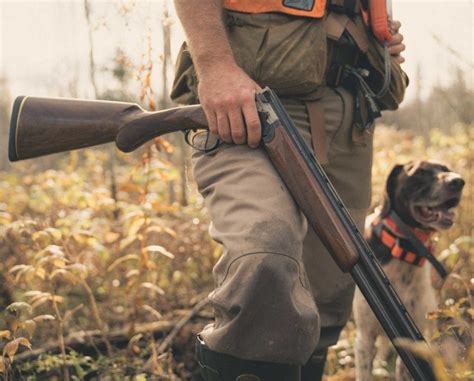 Shotguns For Upland Game Bird Hunting