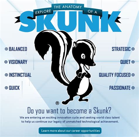 Skunk Works success