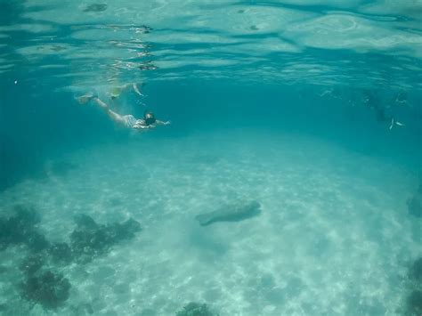 Snorkeling in US Marine Reserves