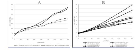 Socorro District Growth