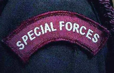 Special Forces Badges