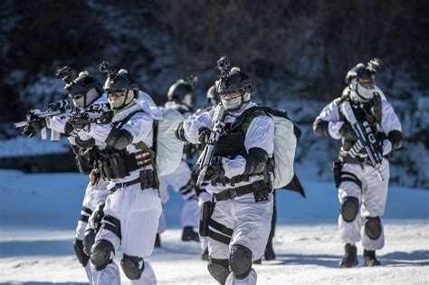 Special Forces Conducting Missions