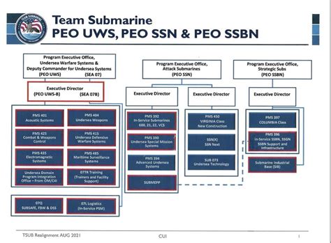 Submarine Commander Selection Process