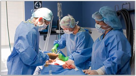 Surgical Assistants Role