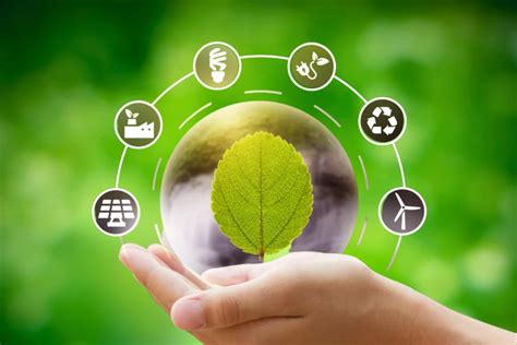 Sustainable and Eco-Friendly Practices