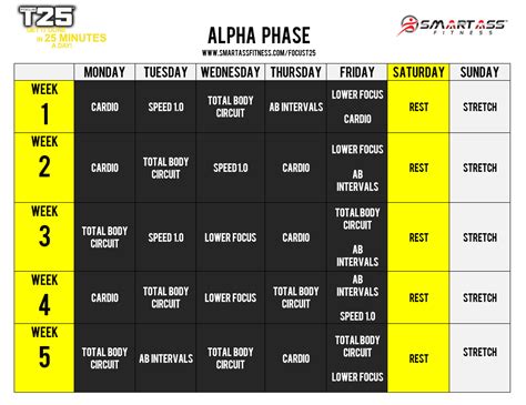 Description of T25 Alpha Workout Nutrition