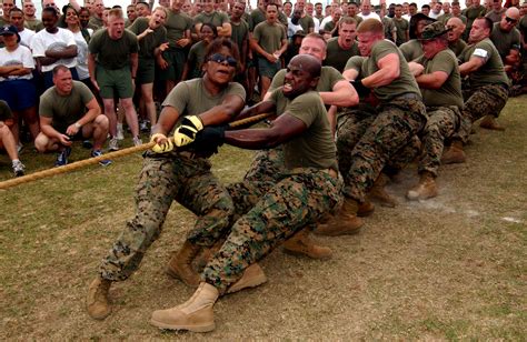 Teamwork and Camaraderie at Marine Boot Camp