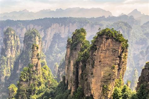 Time and Nature in Chengdu